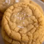 Sugar Free Cookies