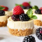 Mini Protein Cheesecakes